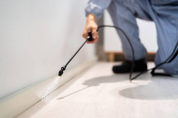 Licensed Termite Control service in Holmes County County, FL - Nex Pest Control