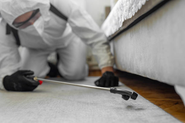 Professional Termite Control technician working in Holmes County County, FL